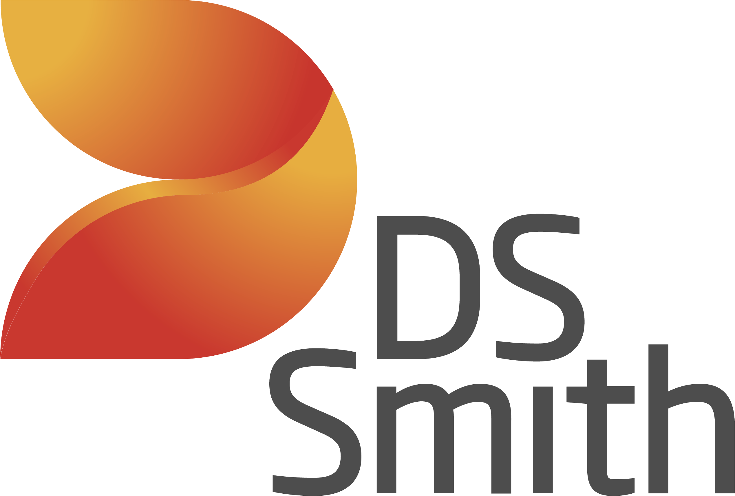 Logo de l'entreprise DS Smith